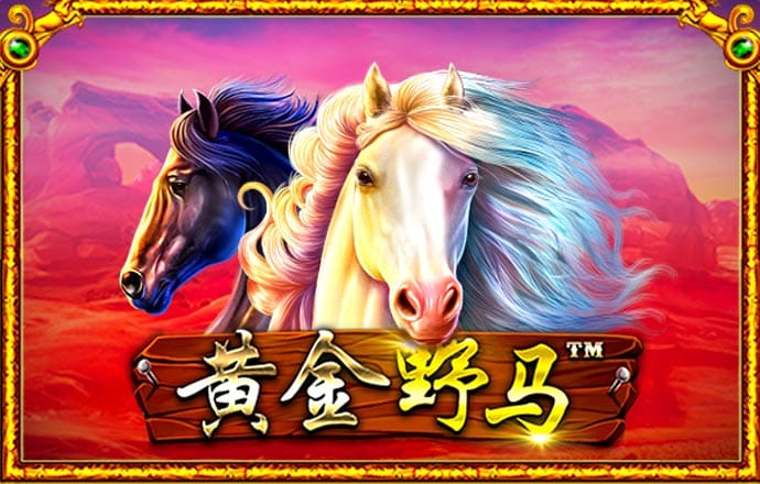 澳门心水版论坛